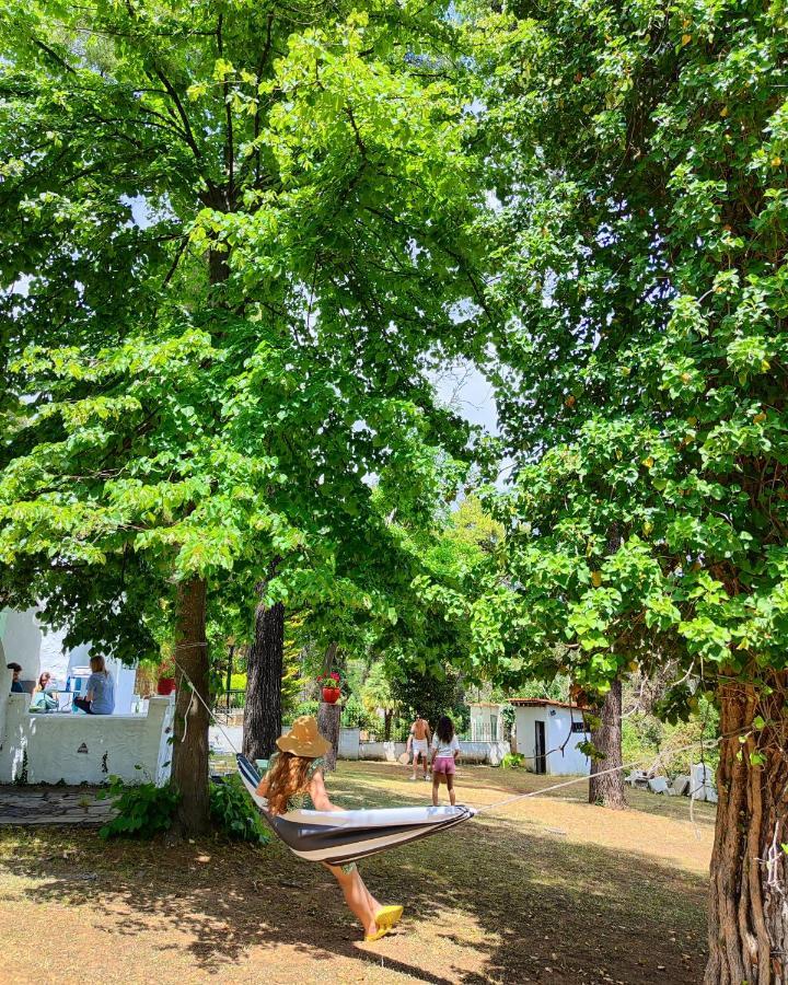 Villa Nefeli Sani  외부 사진